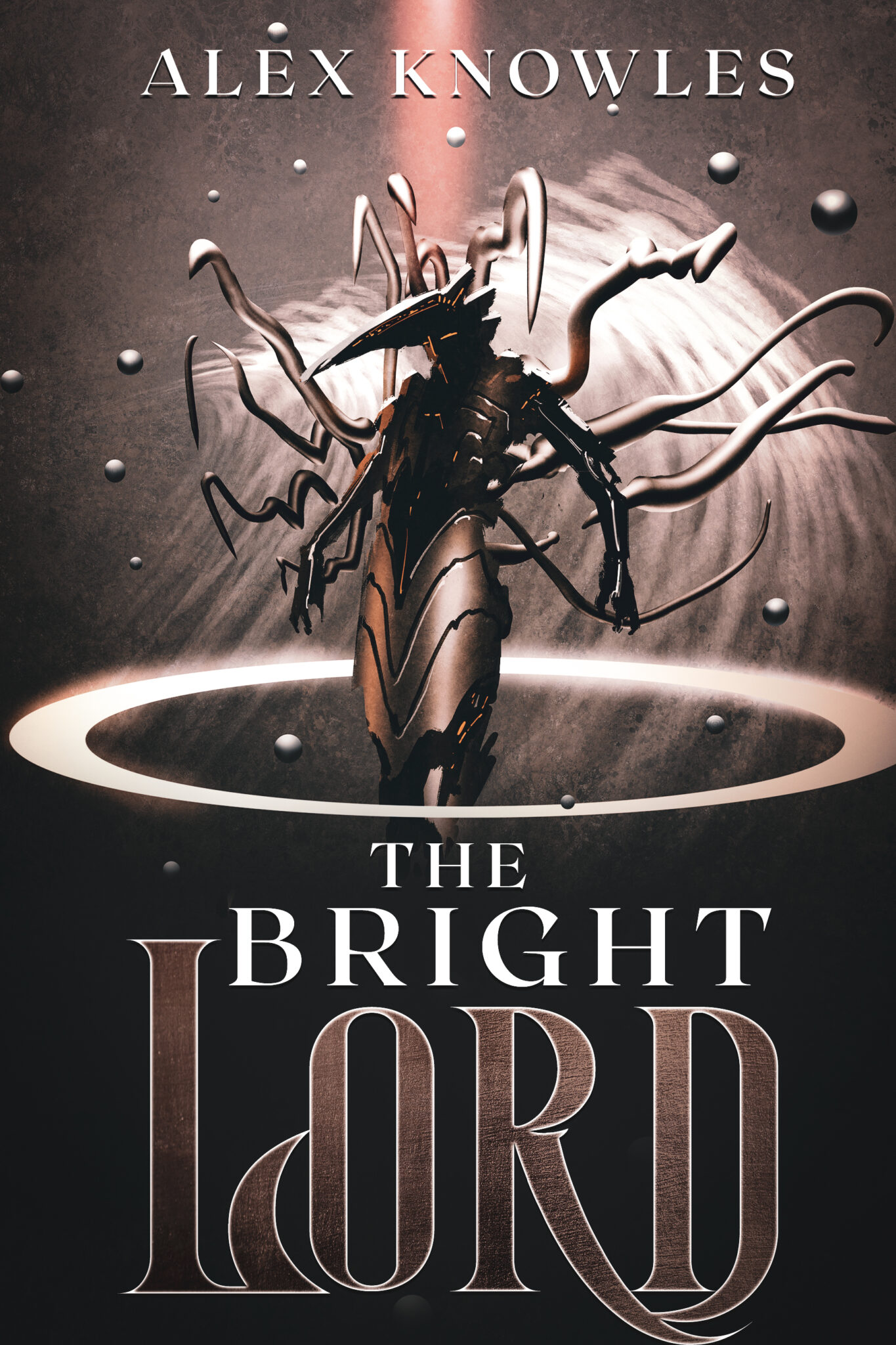 Bright lord читы